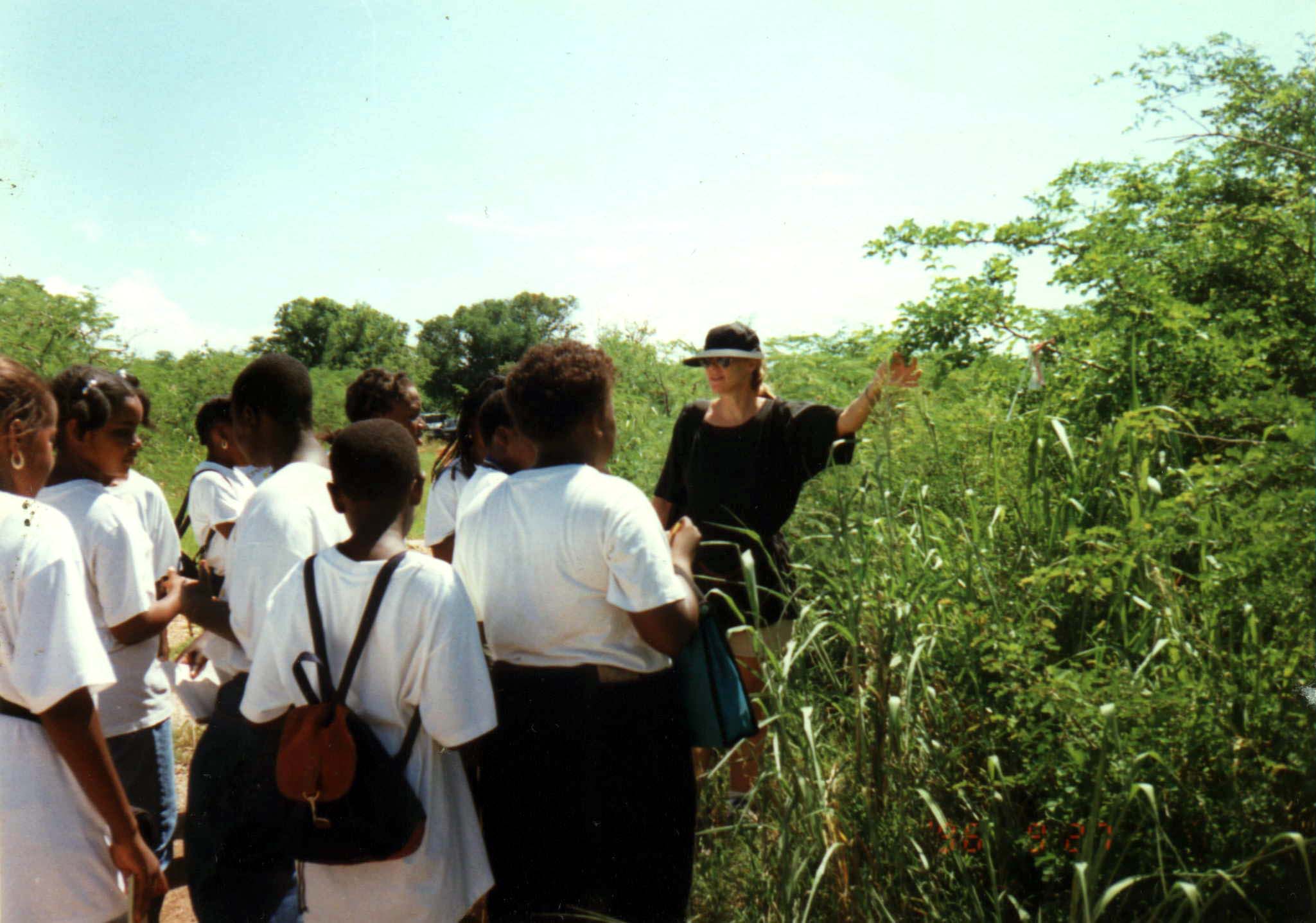 wetland tour